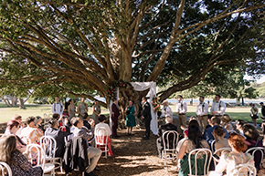 Oli Events - Melbourne Planner